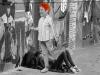 Why One Nation endangers Australia’s homeless — and everyone else