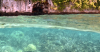 Palau Study Shows First‑Ever Evidence of Seabird‑Driven Land-Sea Recovery