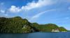 Researchers find dramatic restoration on land and sea after island rat removal