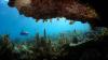 How to Address the Ocean Conservation Funding Shortfall