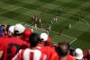 Beer and burger prices stun World Cup fans at Canada vs Bosnia