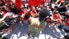 How to watch Canada vs Bosnia-Herzegovina, live stream the World Cup for free