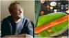 Finnish founder compares 'opposite' life in Helsinki vs Bengaluru, shares what India has that 'happiest' Finland doesn't