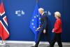 Norway should follow Iceland’s EU referendum, says PM