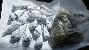 Gambia Cracks Down on Drug Trafficking: Multiple Arrests Made in Anti-Narcotics Operations