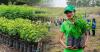 El Salvador and UNDP Launch 7th Year of “Trees for El Salvador” to Restore Critical Ecosystems.