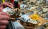 How to stop food poisoning ruining your summer holiday - experts reveal what not to order while abroad...and whether tap water is safe to drink