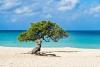 The 14 new UNESCO Biosphere reserves to visit in 2026