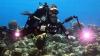 Shipwrecks linked to the real Pirates of the Caribbean found for the first time in Bahamas