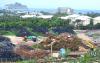 The Business of Garbage: Cayman’s Landfill Conundrum
