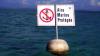 Oceans: France announces three new marine protected areas and strengthens its fight against plastic pollution