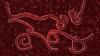 Ebola Bundibugyo Virus Disease outbreak in Central and East Africa