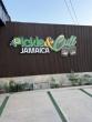 Electric Pizza x Pickle and Chill Jamaica