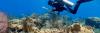 Many Of The Caribbean’s Most Important Reefs Are Going Unprotected
