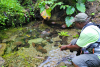 Scriber’s Adventures Launches Online Booking, Marking New Step for Montserrat Tourism