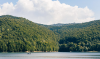 Which countries in Europe have the most forests?