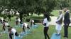 PM Modi, Slovak President watch Yoga session ahead of International Day