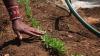 Climate adaptation helps African nations tackle rising conflict over resources