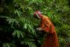AFF study documents 115 edible forest species and indigenous knowledge in biodiversity hotspot