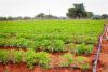 Urgent call for policy change from women farmers to address hunger and climate challenges