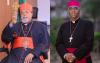 Pope Leo XIV Accepts Retirement of Cardinal Berhaneyesus of Ethiopia’s Addis Ababa Archdiocese, Appoints Successor