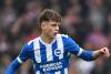 Brighton in talks with 18-year-old winger Harry Howell over new contract