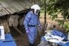Lassa Fever Nigeria 2026: 663 Confirmed Cases, 167 Deaths, 25 Percent Fatality Rate as US Healthcare Experts Issue Urgent Warning to Travelers
