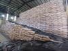 Government freezes issuance of new sugar import licences