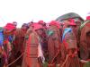 INTEGRATING FORMAL EDUCATION INTO INITIATION SCHOOLS   