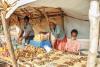 Pioneering evidence shows how entrepreneurship model can reduce extreme poverty among refugees