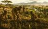 Farming in Ancient Africa: Why Agriculture Came Later to Humanity’s First Home