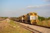 Improved transport opens Mozambique’s forests to new pressures