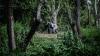 How the ‘Attenborough effect’ is driving a surging interest in Rwanda’s gorilla tourism