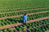 Rooted in Resilience: Kenyan Women Leading Climate Action and Economic Growth