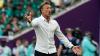 Hervé Renard replaces Lamouchi as Tunisia coach
