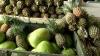 Belizean Farmers Invited to Compete for 2026 CARICOM Farmer of the Year Awards