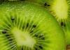 Chilean kiwifruit exports jump 16 percent as industry doubles down on quality