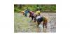 Liberia’s untapped potential: What the new agriculture census and survey reveal