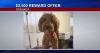 $2,500 reward offered after family dog beaten to death