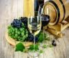 Best Barcelona Wine Tours: Discover Catalonia’s Vineyards, Cava, and Wine Culture