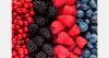 Kyrgyzstan supplies fresh berries to Russian regions, as checks show no quarantine pests