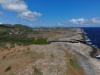 The Biodiversity of the ABC Islands