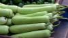 Don't Hate Lauki Yet! Ayurveda Explains Why Bottle Gourd Is Worth Adding To Your Diet