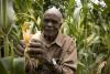 Maize tangled in policy debates on price, GMOs