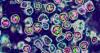 3 more measles cases confirmed in Maryland