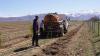 Kyrgyzstan Climate Resilience the Target of New Forest Restoration Project