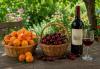 Armenian government allocates 5.3 billion drams to support agricultural exporters