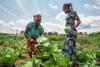 Tree-based biopesticides can boost food security, protect the environment and strengthen Africa’s economy