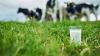 Ireland ‘exceptionally exposed’ to volatility in global dairy market