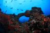 Editorial: Marine sanctuary must not be fished